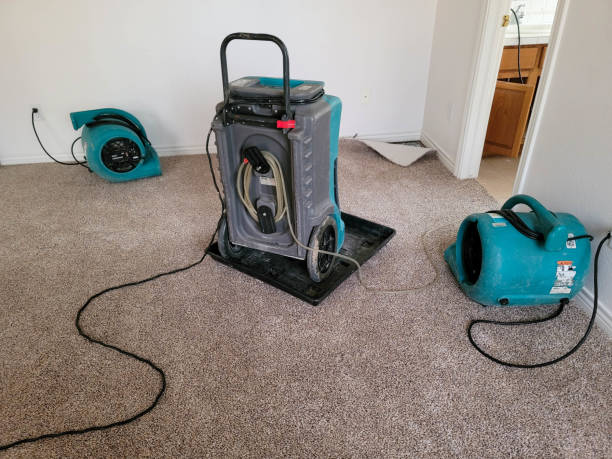 Best Flooded house restoration  in Woodcrest, CA
