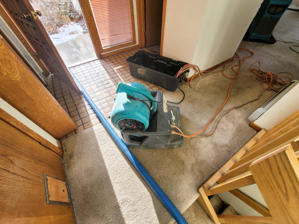 Best Mold removal after water damage  in Woodcrest, CA