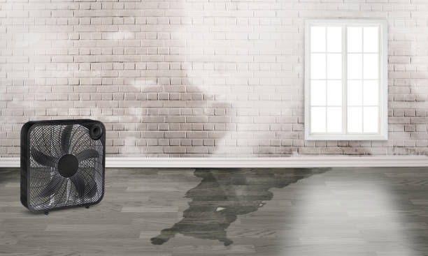 Best Fire Damage Restoration  in Woodcrest, CA