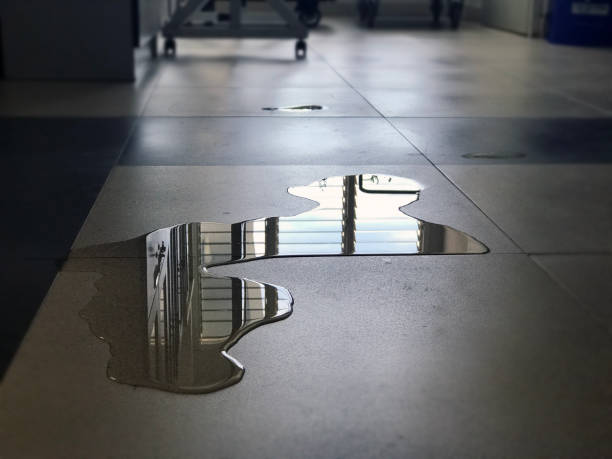Best Water damage restoration cost  in Woodcrest, CA