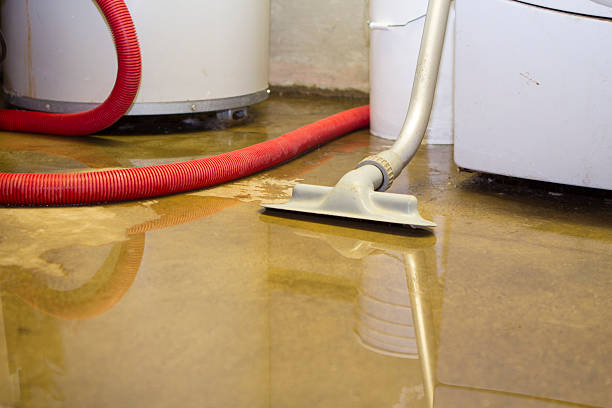 Best Water damage restoration near me  in Woodcrest, CA