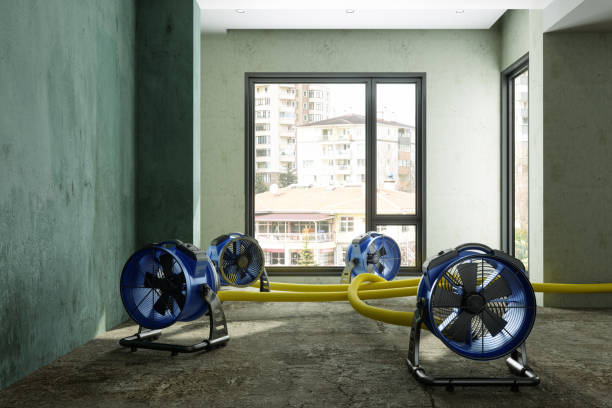 Best Sewage cleanup and water damage restoration  in Woodcrest, CA